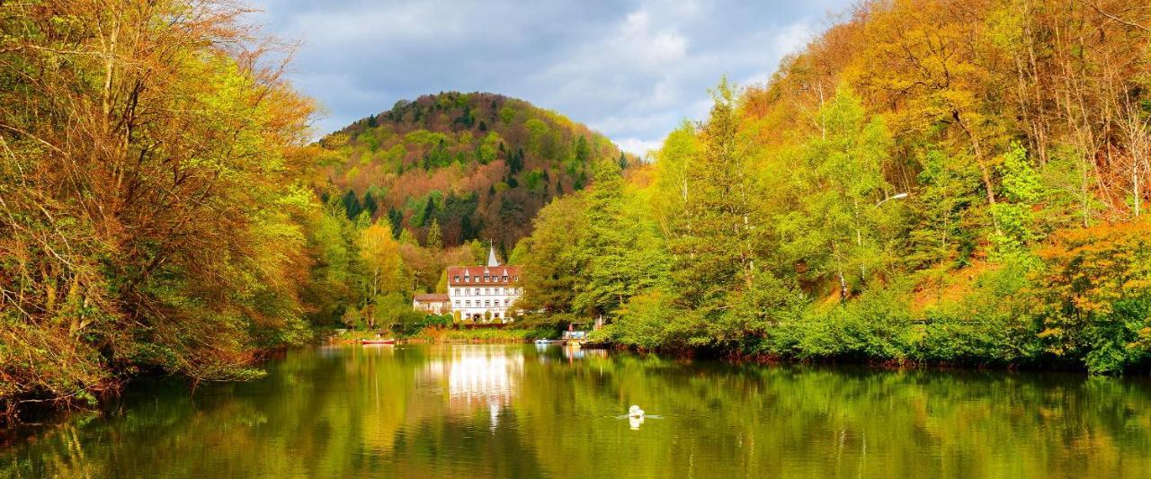 Hotel Pfaelzer Wald Bad Bergzabern Exterior photo