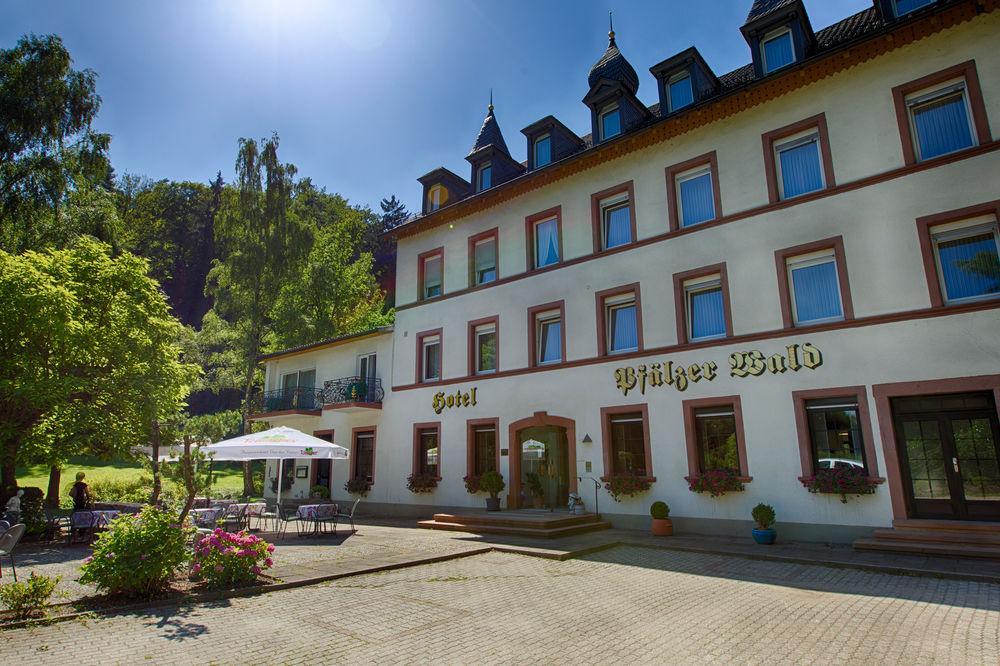 Hotel Pfaelzer Wald Bad Bergzabern Exterior photo